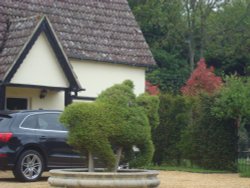 Yew topiary at Horringer Wallpaper