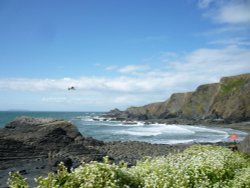 Hartland Point