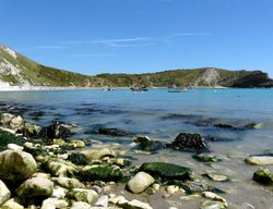 Lulworth Cove Wallpaper