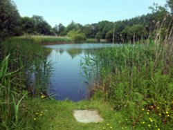 Doddinghurst, Essex Wallpaper