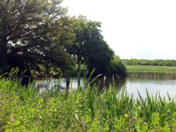 Doddinghurst, Essex Wallpaper