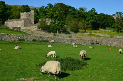 Nappa Hall near Worton, Wensleydale Wallpaper