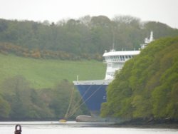 The Lurker Wallpaper