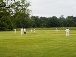 Cricket match at Stoneleigh Abbey Wallpaper