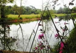 Stoneleigh Abbey Gardens Wallpaper