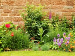 Stoneleigh Abbey Gardens Wallpaper