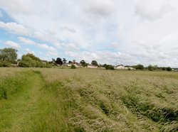 Creech St Michael Wallpaper