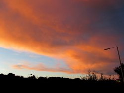 Evening Sky