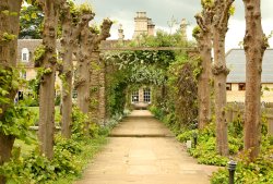 Witham on the Hill Wallpaper