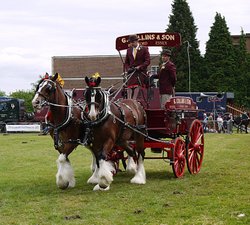 Heavy Horse Show, Langford, Essex Wallpaper