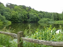 Friday Street Pond 2 Wallpaper