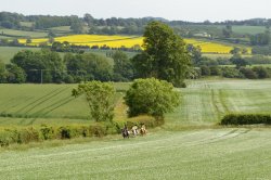 The Great English Countryside Wallpaper