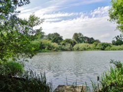 Fishing Lake Wallpaper