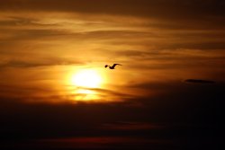 Sunset over Sunderland