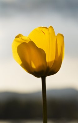 Ambleside pierhead again