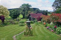 Stour Valley Summer, Shillingstone. Wallpaper