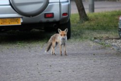 Back for more. Wallpaper