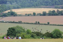 A picnic on Box Hill Wallpaper