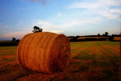 Warton Lanes Wallpaper