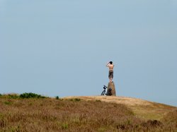 Quantock Hills Wallpaper