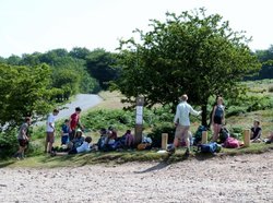 Quantock hills Wallpaper