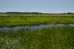 River Little Ouse, Lakenheath Wallpaper