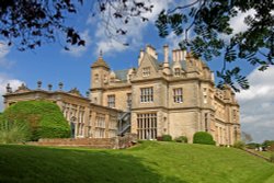 Stoke Rochford Wallpaper