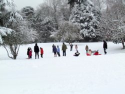 Fun in the snow Eastcote House Gardens Wallpaper