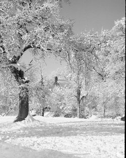 Ruislip in the snow 1976