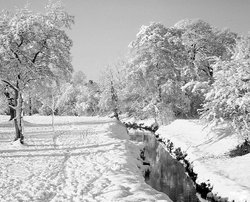 The River Pinn, Ruislip, snow 1976 Wallpaper