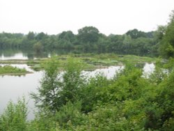 Whisby Nature Reserve Wallpaper