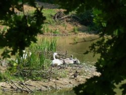 One for the family album. Wallpaper