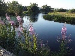 Irthlingborough Wallpaper