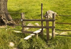Dog friendly stile Loughrigg Tarn Wallpaper