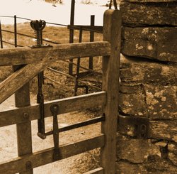Loughrigg Gate Wallpaper