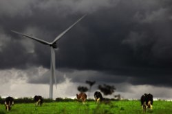 Stanford on Avon Wallpaper