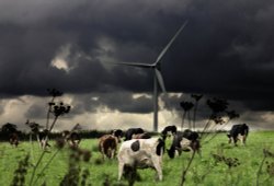 Stanford on Avon Wallpaper