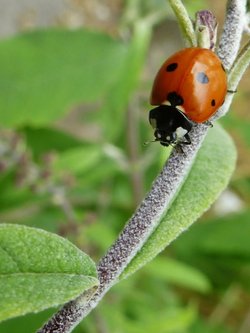 It's a long way down