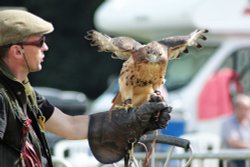 Arbury Hall Game Fair Wallpaper