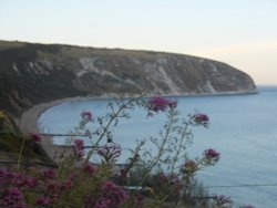 Ballard Down at dusk Wallpaper