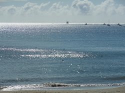 Morning sunlight on the water, Swanage Wallpaper