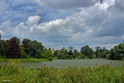 Sherborne Castle Grounds