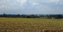 Looking towards Long Lawford from Bilton Lane Wallpaper