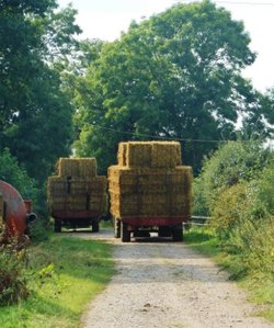 Windmill Lane, Dunchurch