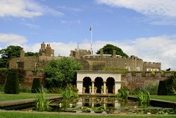 Queen Mothers Garden Wallpaper