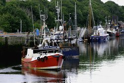 Eyemouth Harbour Wallpaper