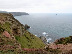 Coast Path Wallpaper