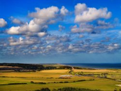 Sheringham Park, Upper Sheringham, Norfolk Wallpaper