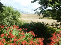 National Botanic Garden of Wales - a quiet corner Wallpaper