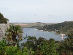 Overbeck's Wallpaper